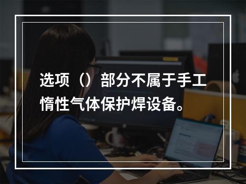 选项（）部分不属于手工惰性气体保护焊设备。