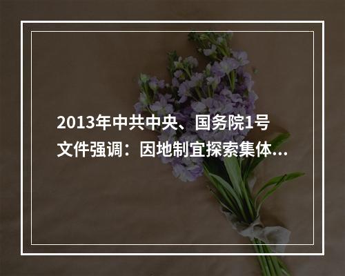 2013年中共中央、国务院1号文件强调：因地制宜探索集体经济