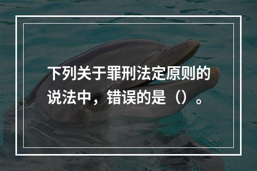 下列关于罪刑法定原则的说法中，错误的是（）。