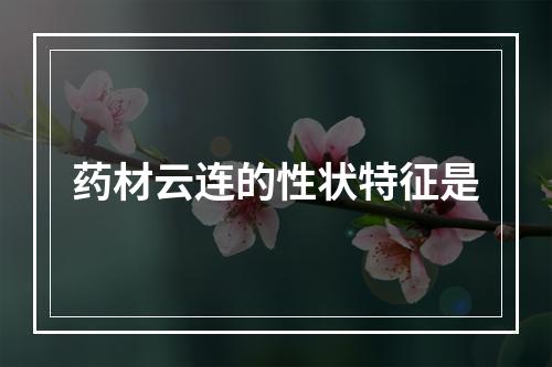 药材云连的性状特征是