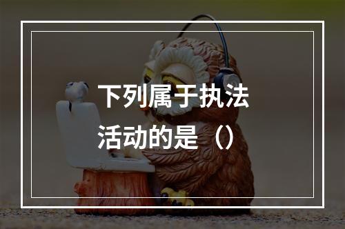 下列属于执法活动的是（）