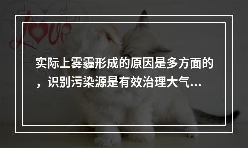 实际上雾霾形成的原因是多方面的，识别污染源是有效治理大气污染