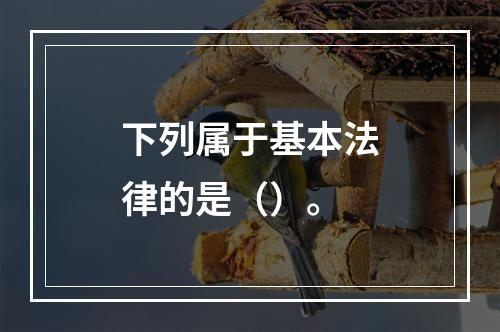 下列属于基本法律的是（）。