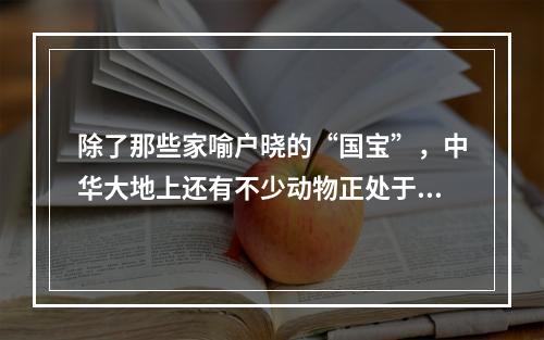 除了那些家喻户晓的“国宝”，中华大地上还有不少动物正处于或正