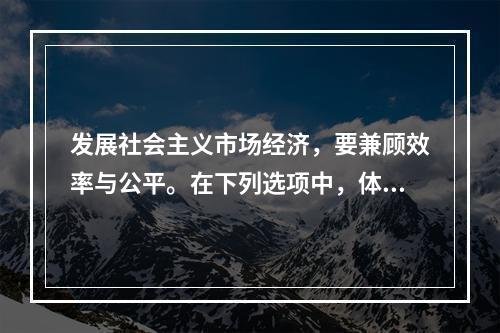 发展社会主义市场经济，要兼顾效率与公平。在下列选项中，体现再