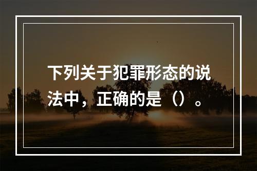 下列关于犯罪形态的说法中，正确的是（）。