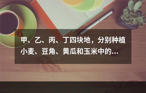 甲、乙、丙、丁四块地，分别种植小麦、豆角、黄瓜和玉米中的一种