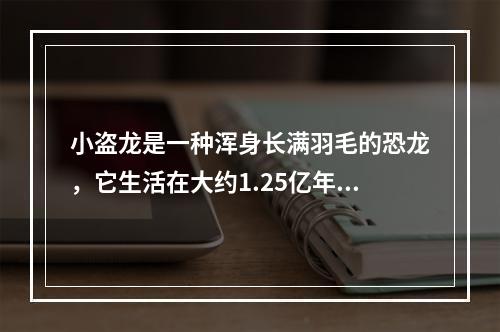 小盗龙是一种浑身长满羽毛的恐龙，它生活在大约1.25亿年前。