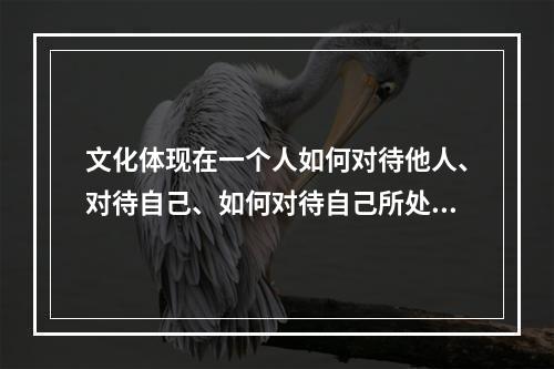 文化体现在一个人如何对待他人、对待自己、如何对待自己所处的自