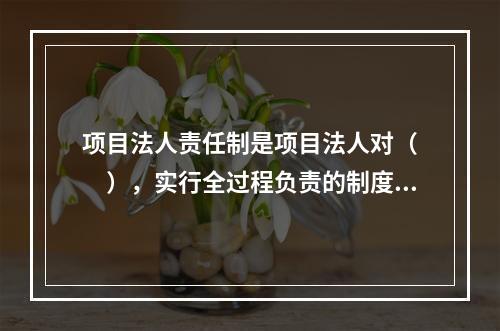 项目法人责任制是项目法人对（　　），实行全过程负责的制度。