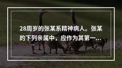 28周岁的张某系精神病人。张某的下列亲属中，应作为其第一顺序