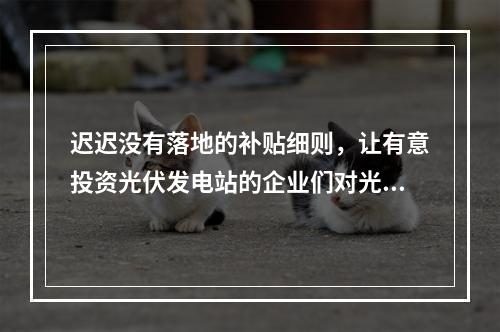 迟迟没有落地的补贴细则，让有意投资光伏发电站的企业们对光伏发