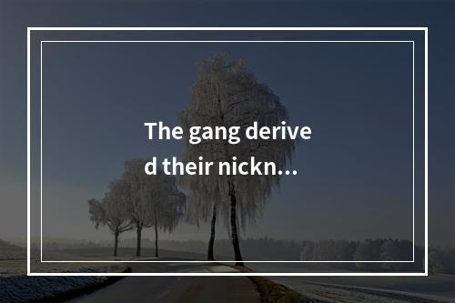 The gang derived their nicknam