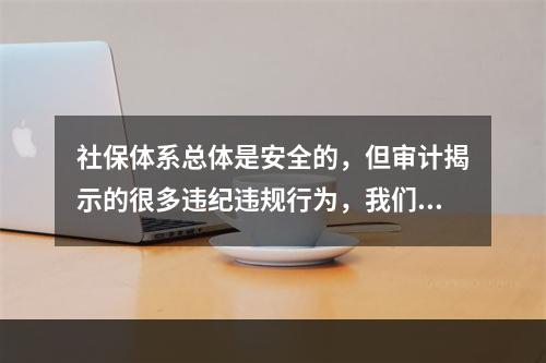 社保体系总体是安全的，但审计揭示的很多违纪违规行为，我们必须