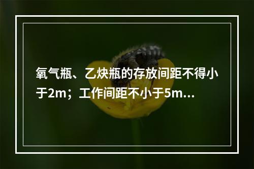 氧气瓶、乙炔瓶的存放间距不得小于2m；工作间距不小于5m；两