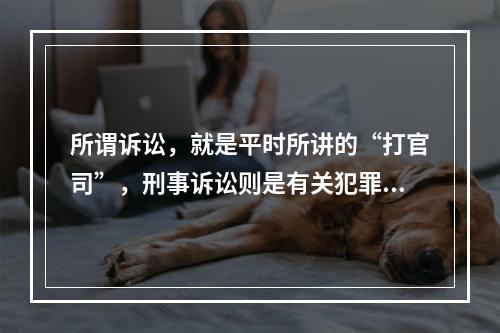 所谓诉讼，就是平时所讲的“打官司”，刑事诉讼则是有关犯罪方面