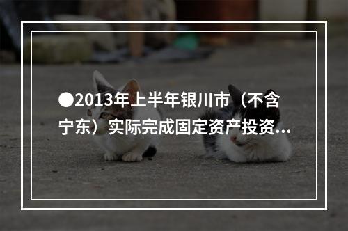 ●2013年上半年银川市（不含宁东）实际完成固定资产投资额是