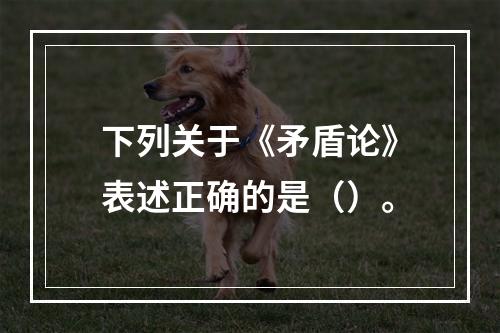 下列关于《矛盾论》表述正确的是（）。