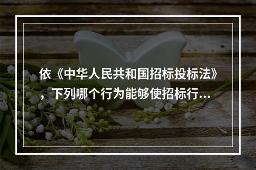 依《中华人民共和国招标投标法》，下列哪个行为能够使招标行为发