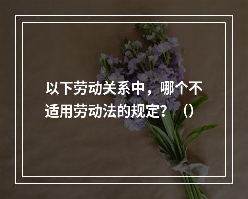 以下劳动关系中，哪个不适用劳动法的规定？（）