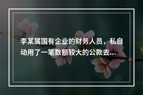 李某属国有企业的财务人员，私自动用了一笔数额较大的公款去炒股