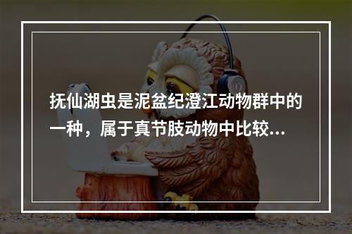 抚仙湖虫是泥盆纪澄江动物群中的一种，属于真节肢动物中比较原始