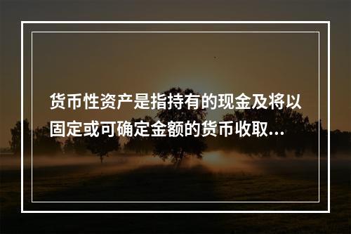 货币性资产是指持有的现金及将以固定或可确定金额的货币收取的资