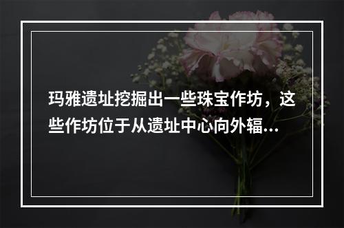 玛雅遗址挖掘出一些珠宝作坊，这些作坊位于从遗址中心向外辐射的