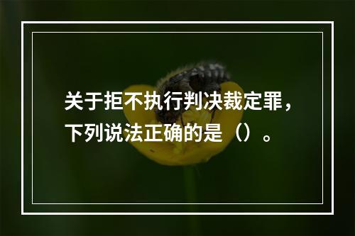 关于拒不执行判决裁定罪，下列说法正确的是（）。