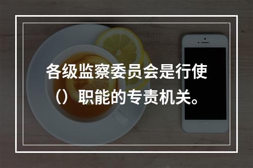 各级监察委员会是行使（）职能的专责机关。