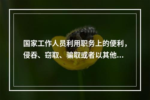 国家工作人员利用职务上的便利，侵吞、窃取、骗取或者以其他手段