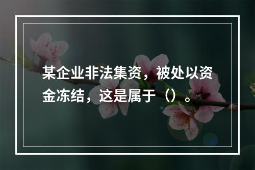 某企业非法集资，被处以资金冻结，这是属于（）。