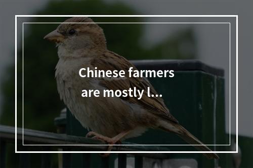 Chinese farmers are mostly liv