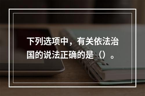 下列选项中，有关依法治国的说法正确的是（）。