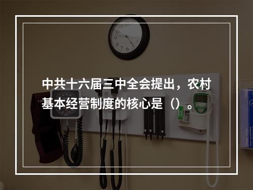 中共十六届三中全会提出，农村基本经营制度的核心是（）。