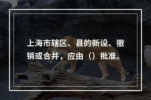 上海市辖区、县的新设、撤销或合并，应由（）批准。