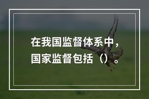 在我国监督体系中，国家监督包括（）。