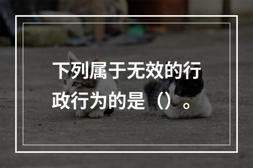 下列属于无效的行政行为的是（）。