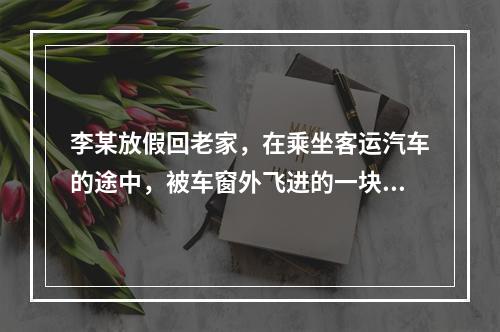 李某放假回老家，在乘坐客运汽车的途中，被车窗外飞进的一块小石