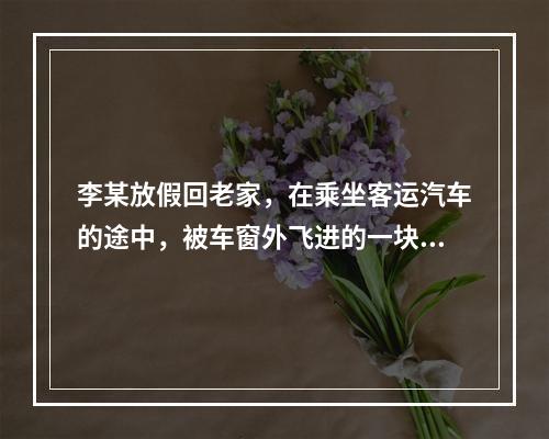 李某放假回老家，在乘坐客运汽车的途中，被车窗外飞进的一块小石