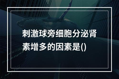 刺激球旁细胞分泌肾素增多的因素是()