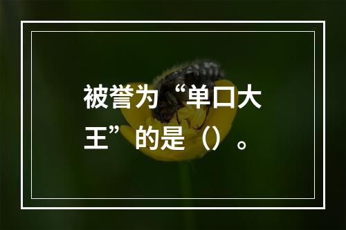 被誉为“单口大王”的是（）。