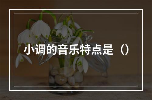 小调的音乐特点是（）