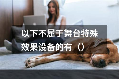 以下不属于舞台特殊效果设备的有（）