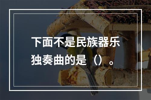 下面不是民族器乐独奏曲的是（）。