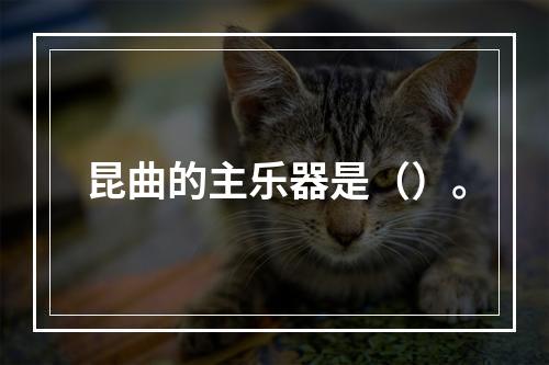 昆曲的主乐器是（）。