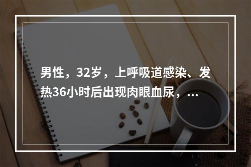 男性，32岁，上呼吸道感染、发热36小时后出现肉眼血尿，尿常