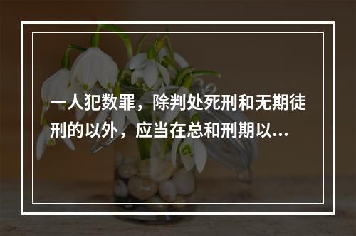 一人犯数罪，除判处死刑和无期徒刑的以外，应当在总和刑期以下、