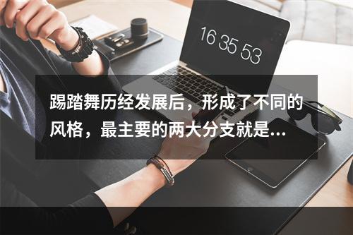 踢踏舞历经发展后，形成了不同的风格，最主要的两大分支就是爱尔