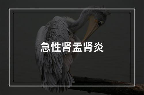 急性肾盂肾炎